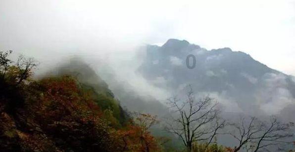 燃烧吧大脑免广告最新版