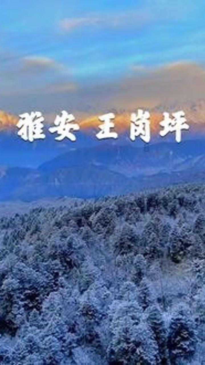 唐高宗李治绝非软弱的“耙耳朵”,而是开创永徽之治的守成明君