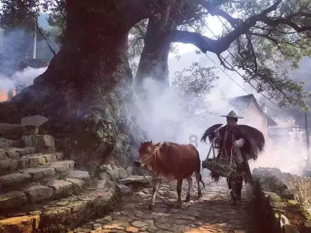 咖啡厅找不同