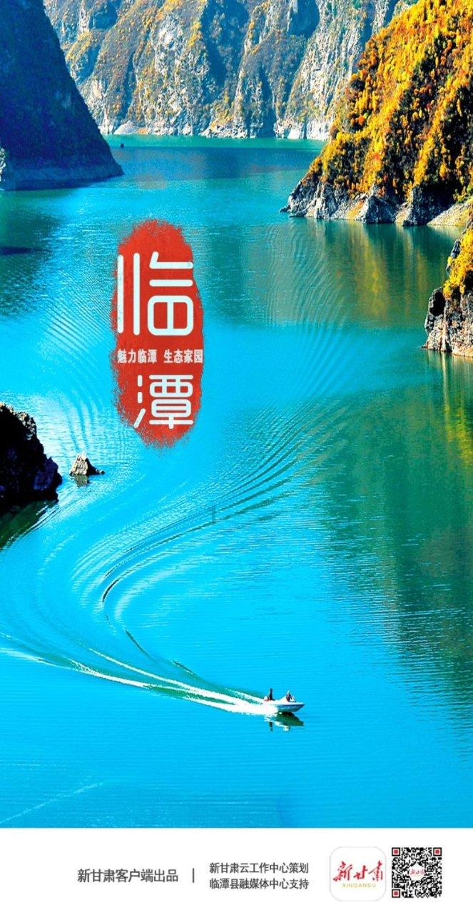 救援卷耳兔