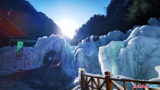 通过技术手段开创农业资源新用途 提高农民收入和推动乡村建设