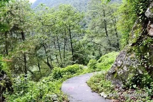姐弟恋会不会被父母反对?-知识问答网页