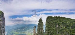 迷雾求生