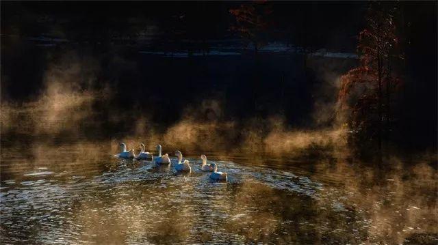 密室之逝夜流转