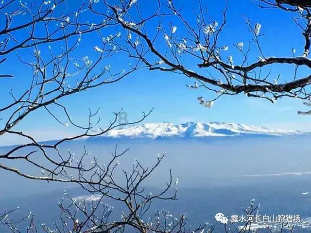 隐形眼镜度数怎么选？游戏画面