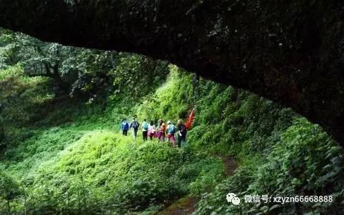 春雨直播app