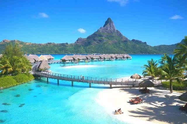 牛油果面包