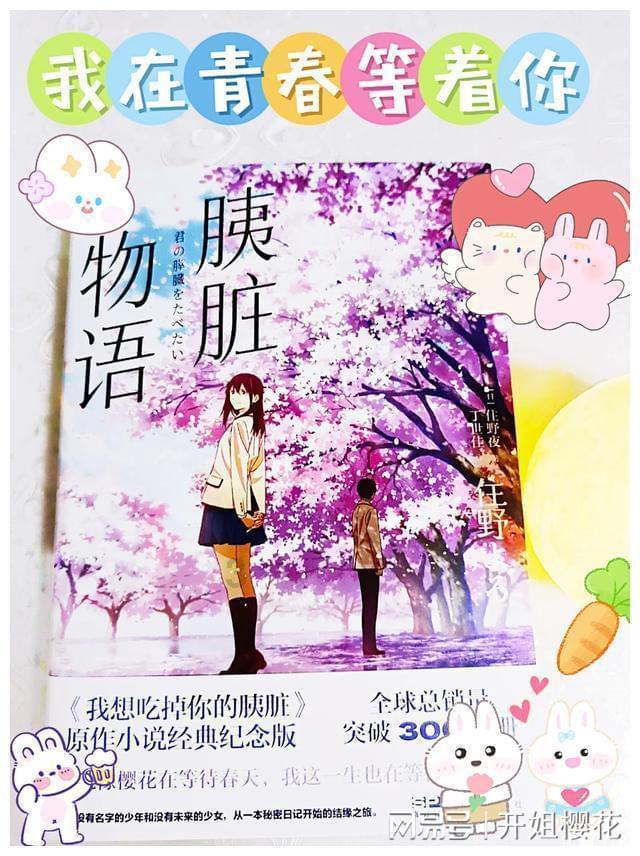 重生之玫瑰豪门