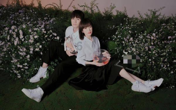 拯救小萌虎