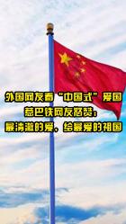 萌犬找不同