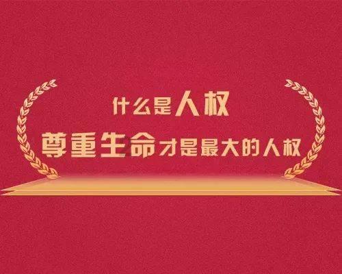 月光影视