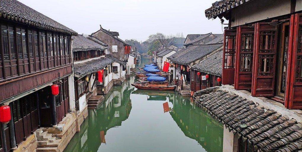 拯救小松鼠