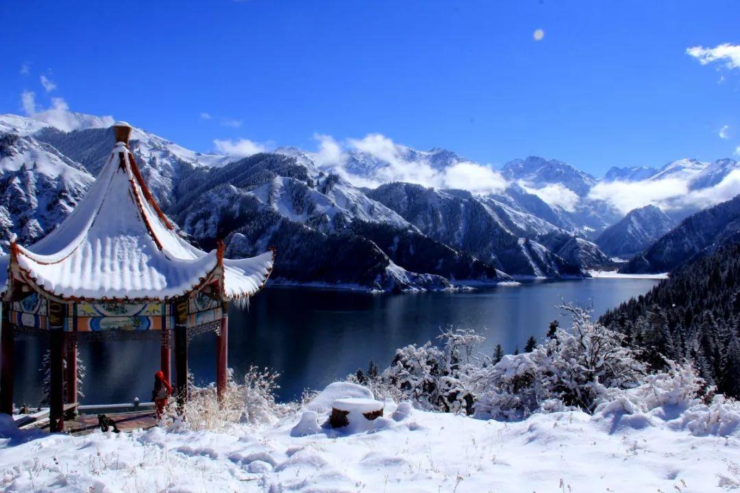 我叫MT4